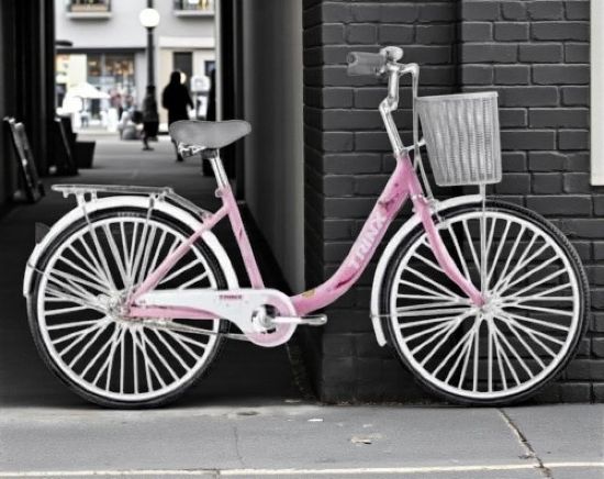 صورة دراجة ابو سلة مقاس 24